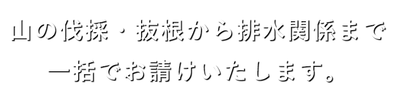 山の伐採・抜根から排水関係まで一括でお請けいたします。